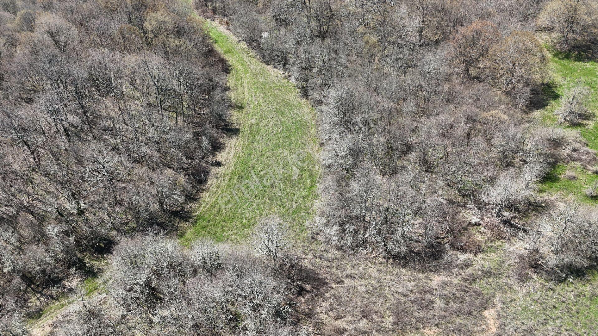 Hisseli Değil Orman İçinde Tek Tapu Arazi [ 1.886 M2 ] - Görsel 35