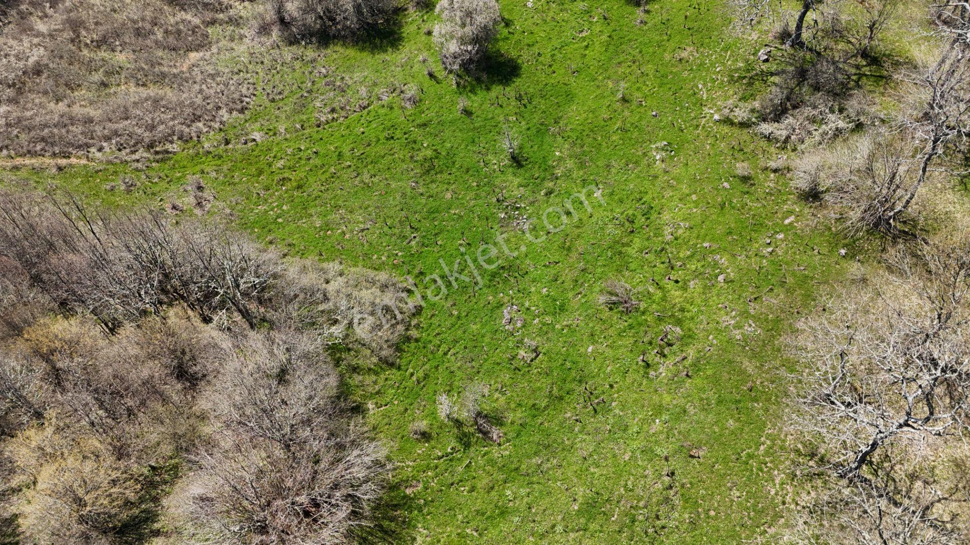 Hisseli Değil Orman İçinde Tek Tapu Arazi [ 1.886 M2 ] - Görsel 27