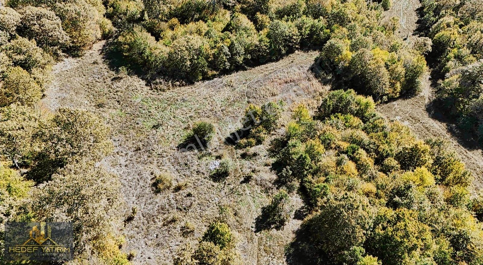 Hisseli Değil Orman İçinde Tek Tapu Arazi [ 1.886 M2 ] - Görsel 11