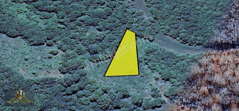 Hisseli Değil Orman İçinde Tek Tapu Arazi [ 1.886 M2 ] - Görsel 8