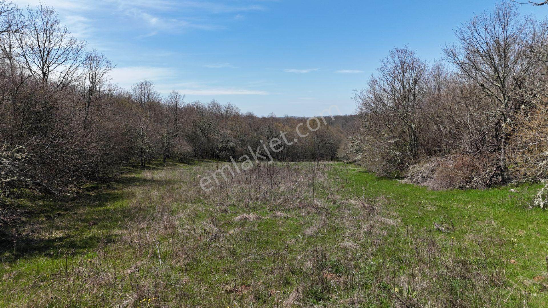 Hisseli Değil Tek Tapu Orman İçi Arazi Emsalsiz [ 1.808 M2 ] - Görsel 24