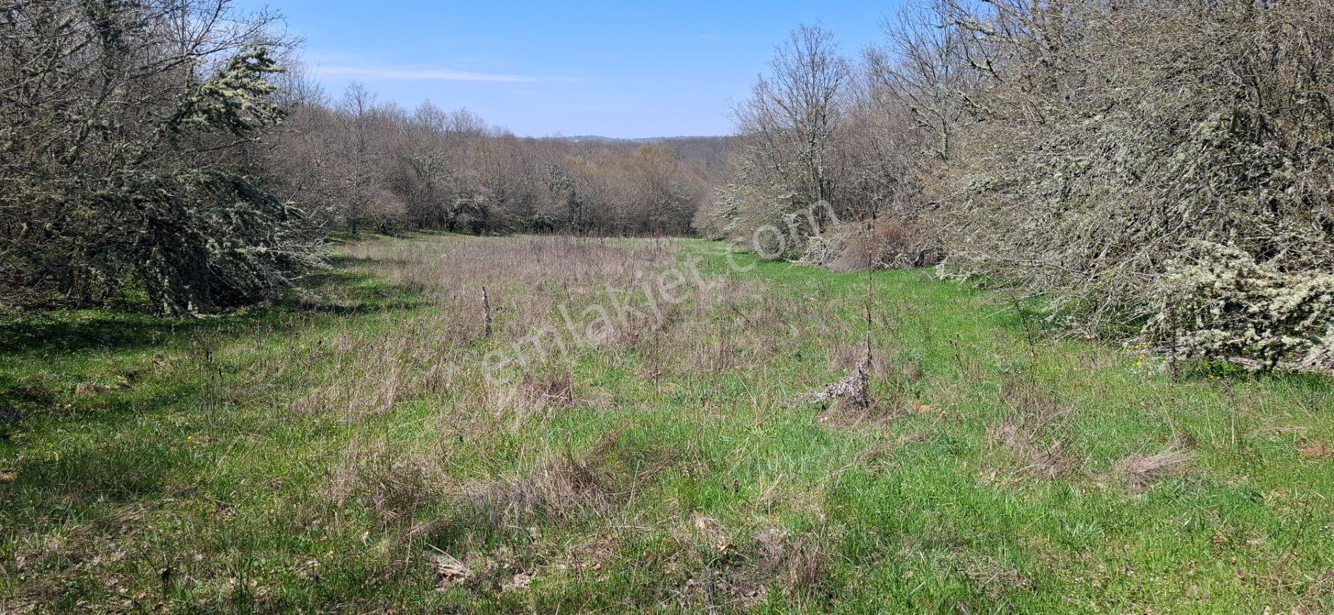 Hisseli Değil Tek Tapu Orman İçi Arazi Emsalsiz [ 1.808 M2 ] - Görsel 9