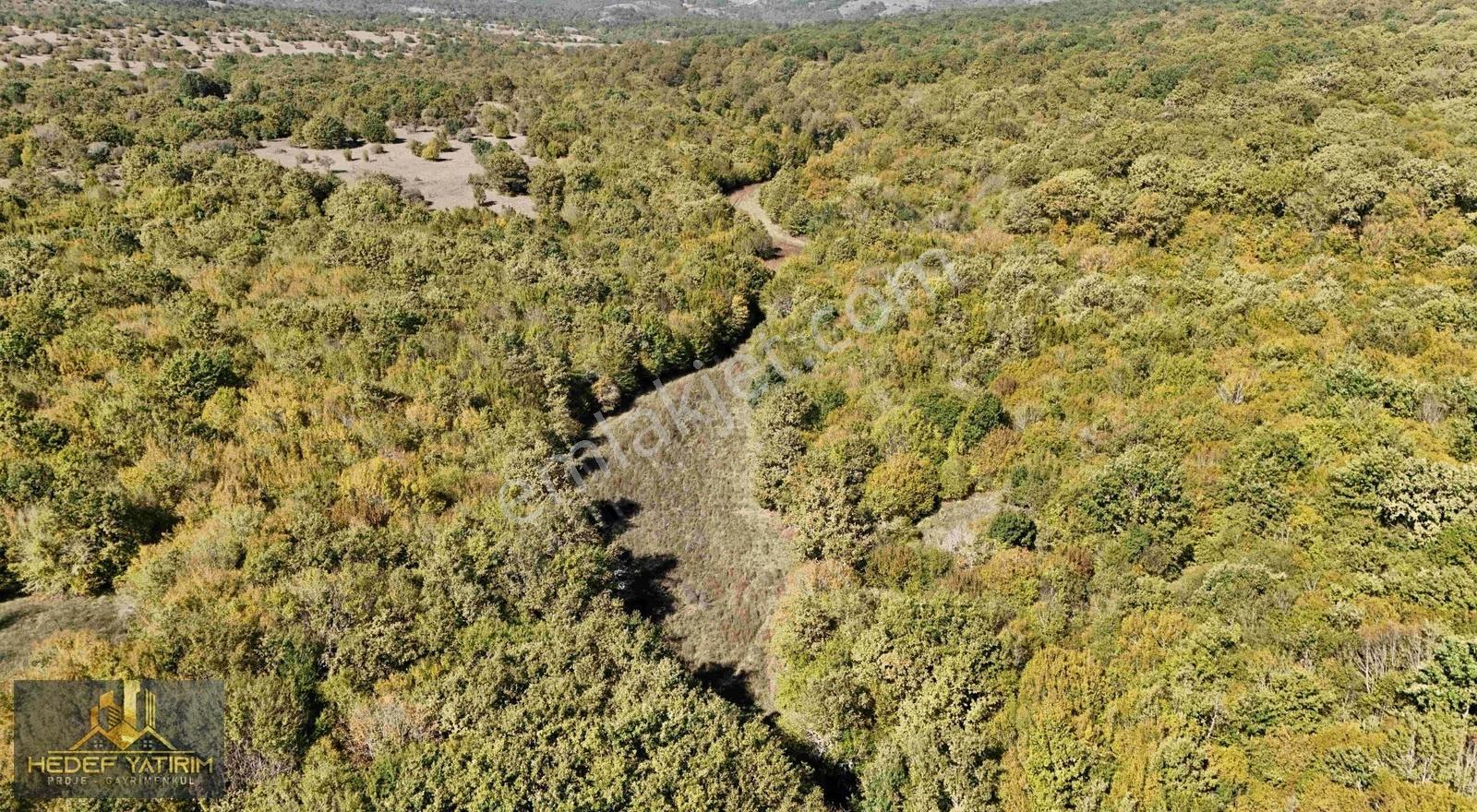 Hisseli Değil Tek Tapu Orman İçi Arazi Emsalsiz [ 1.808 M2 ] - Görsel 23