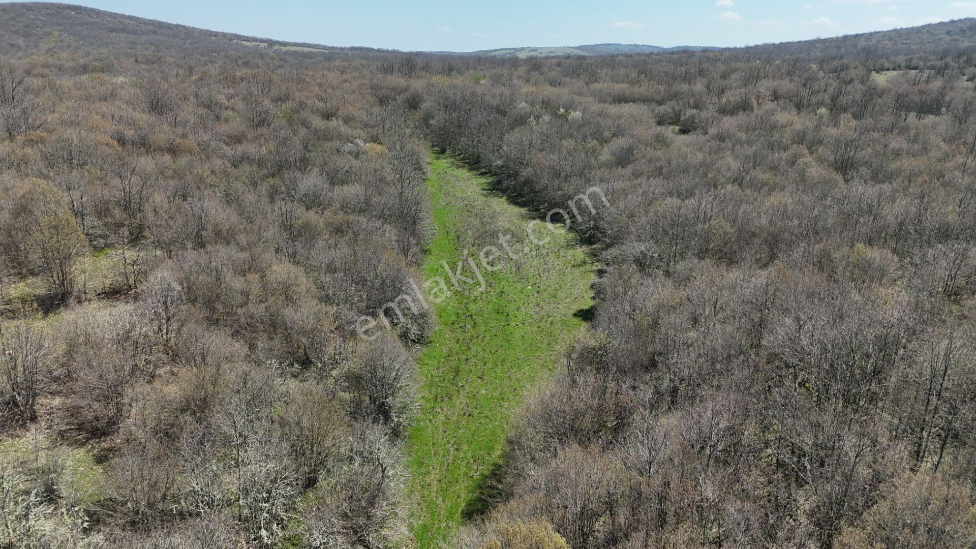 Hisseli Değil Tek Tapu Orman İçi Arazi Emsalsiz [ 1.808 M2 ] - Görsel 28