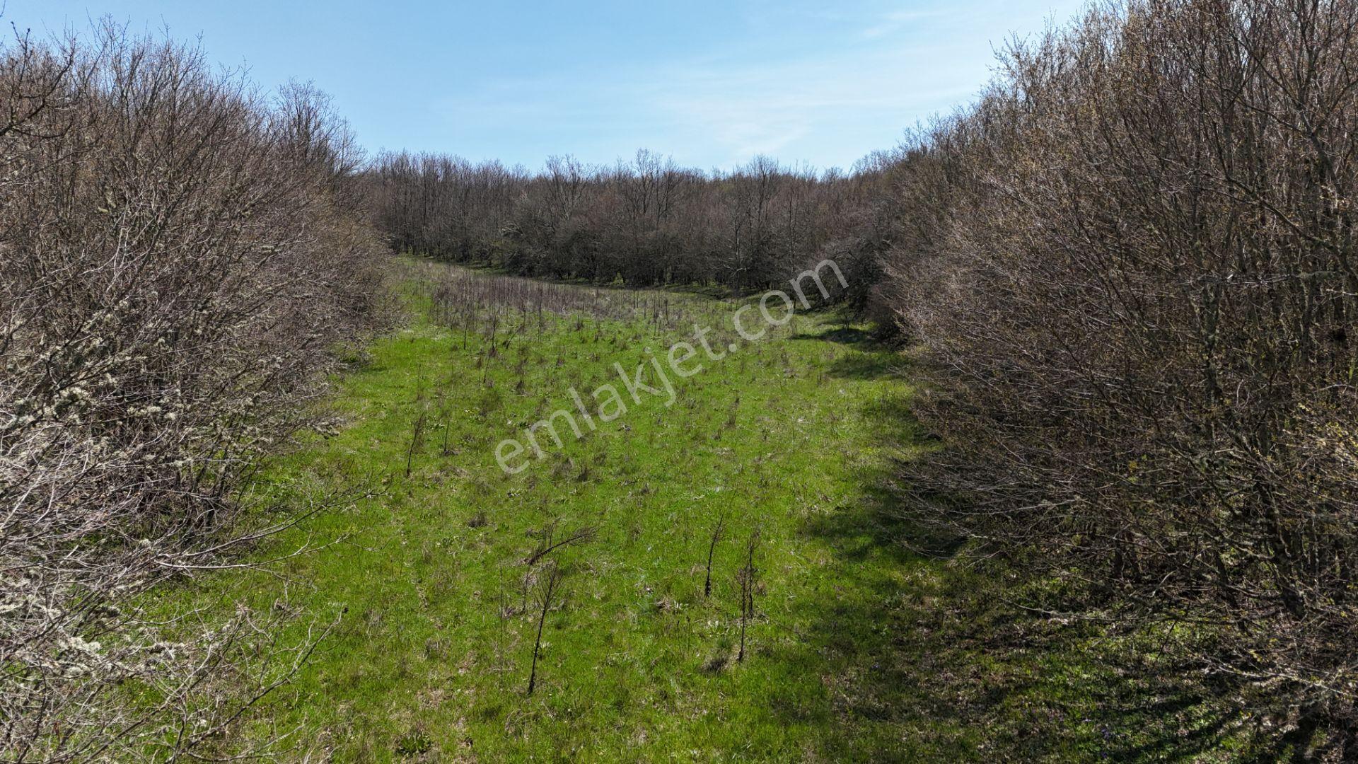 Hisseli Değil Tek Tapu Orman İçi Arazi Emsalsiz [ 1.808 M2 ] - Görsel 17
