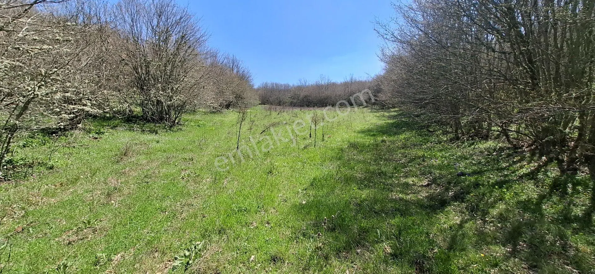 Hisseli Değil Tek Tapu Orman İçi Arazi Emsalsiz [ 1.808 M2 ]
