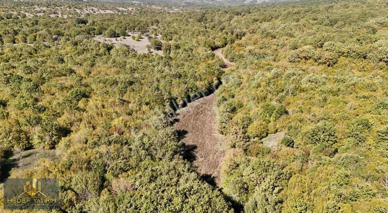 Hisseli Değil Tek Tapu Orman İçi Arazi Emsalsiz [ 1.808 M2 ] - Görsel 26