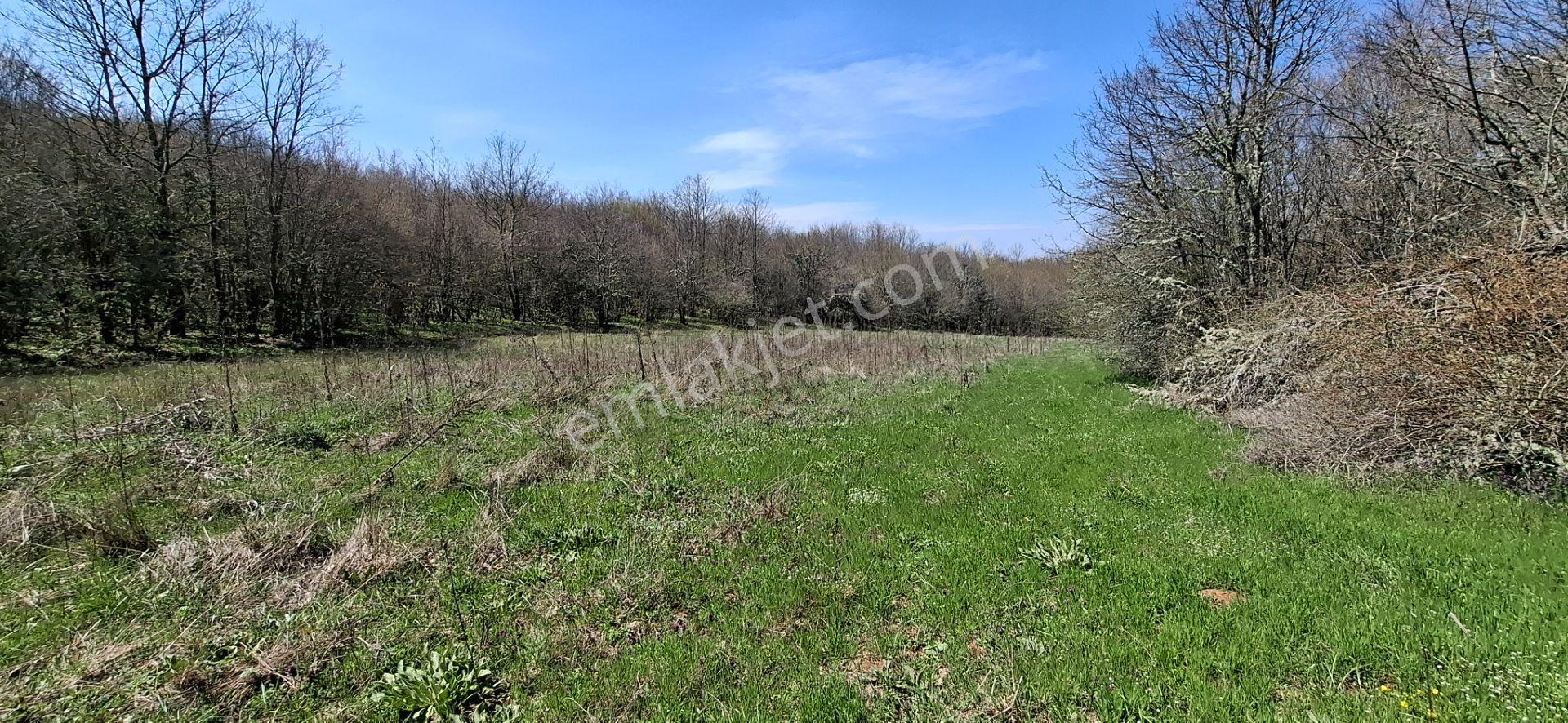 Hisseli Değil Tek Tapu Orman İçi Arazi Emsalsiz [ 1.808 M2 ] - Görsel 13