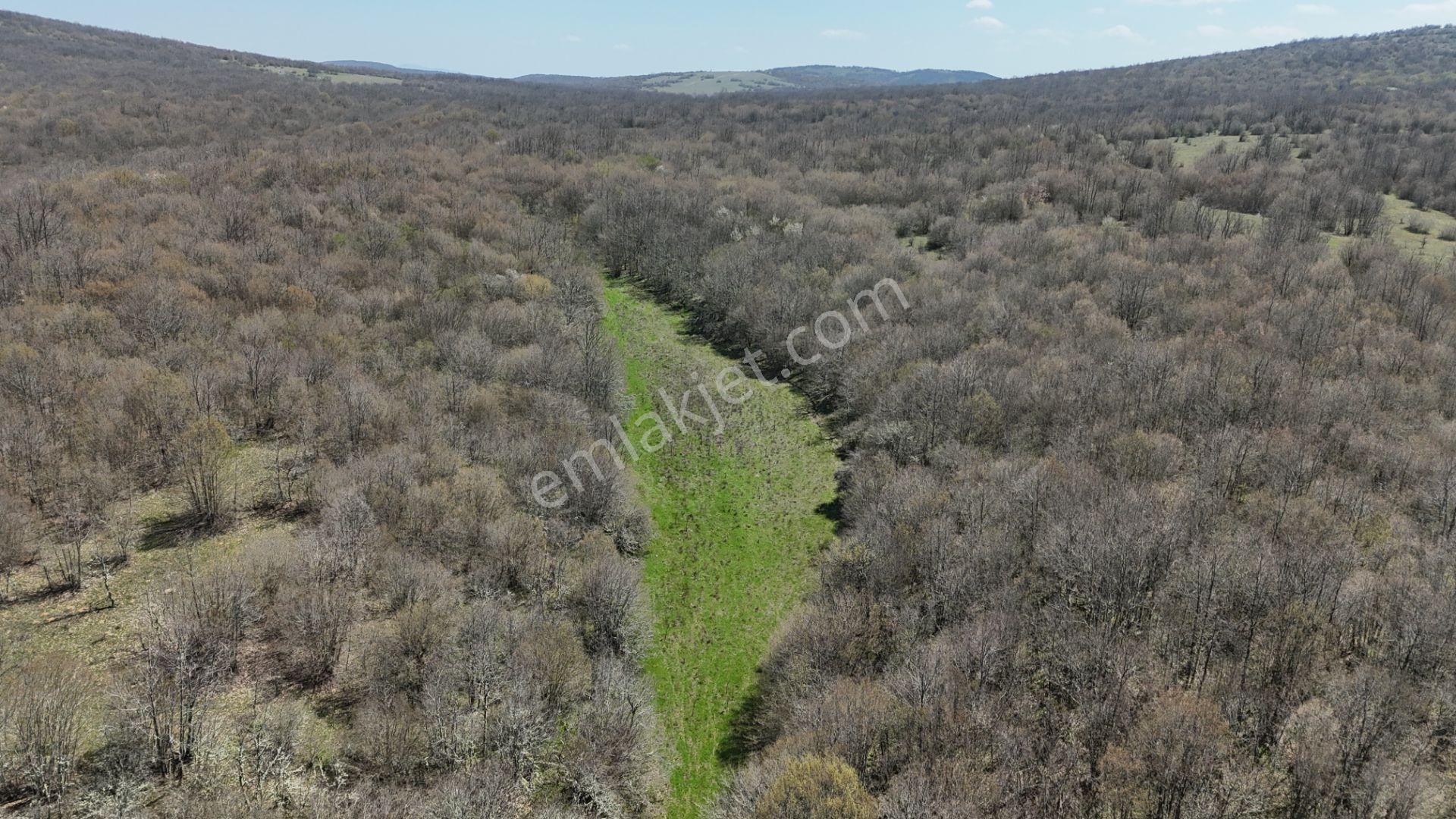 Hisseli Değil Tek Tapu Orman İçi Arazi Emsalsiz [ 1.808 M2 ] - Görsel 29