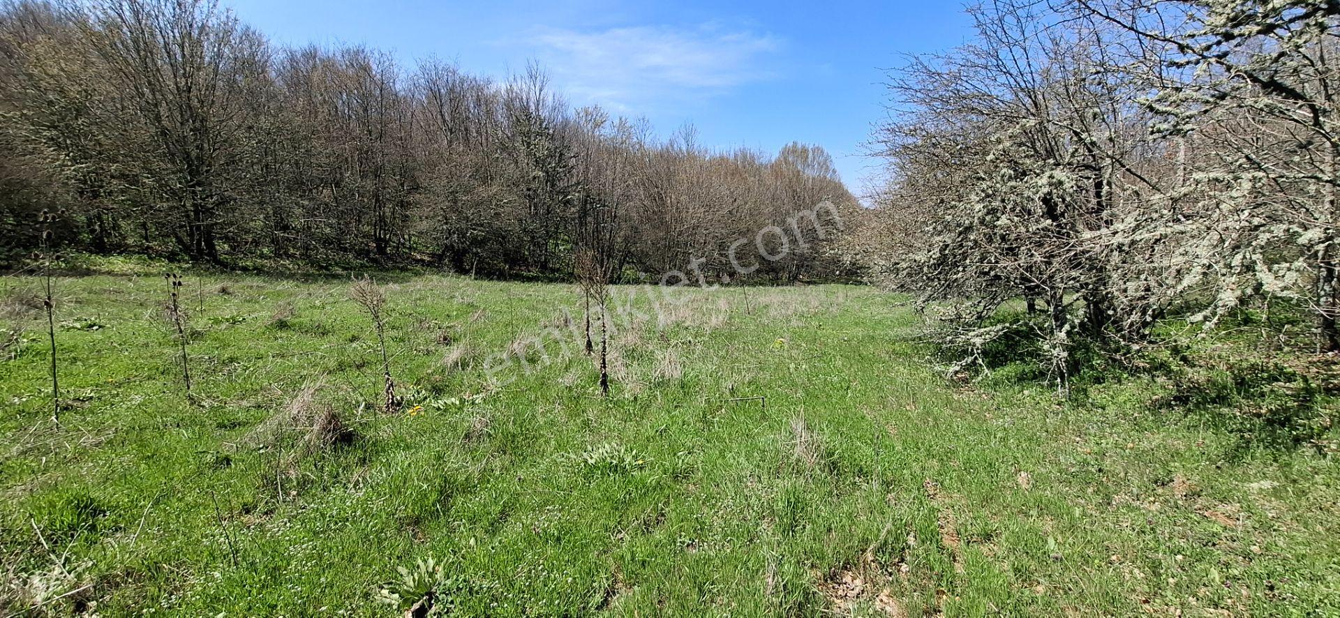 Hisseli Değil Tek Tapu Orman İçi Arazi Emsalsiz [ 1.808 M2 ] - Görsel 16