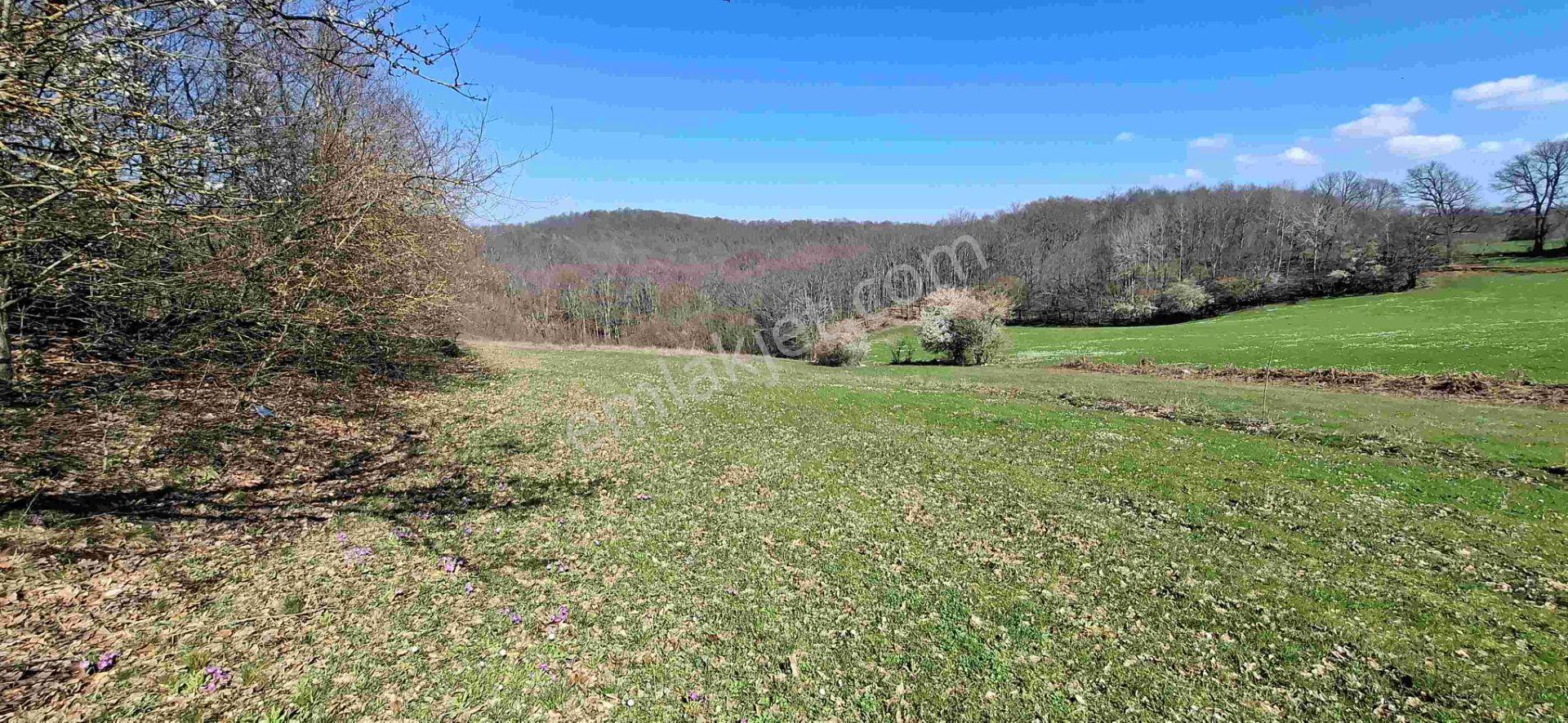 Kula Yolunda Anayola Cepheli Tek Tapu Arazi [ 2.887 M2 ] - Görsel 10