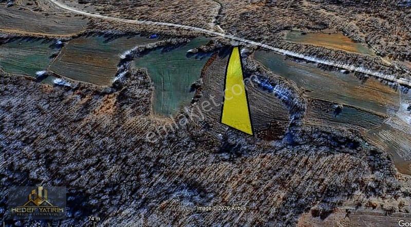 Kula Yolunda Anayola Cepheli Tek Tapu Arazi [ 2.887 M2 ] - Görsel 22