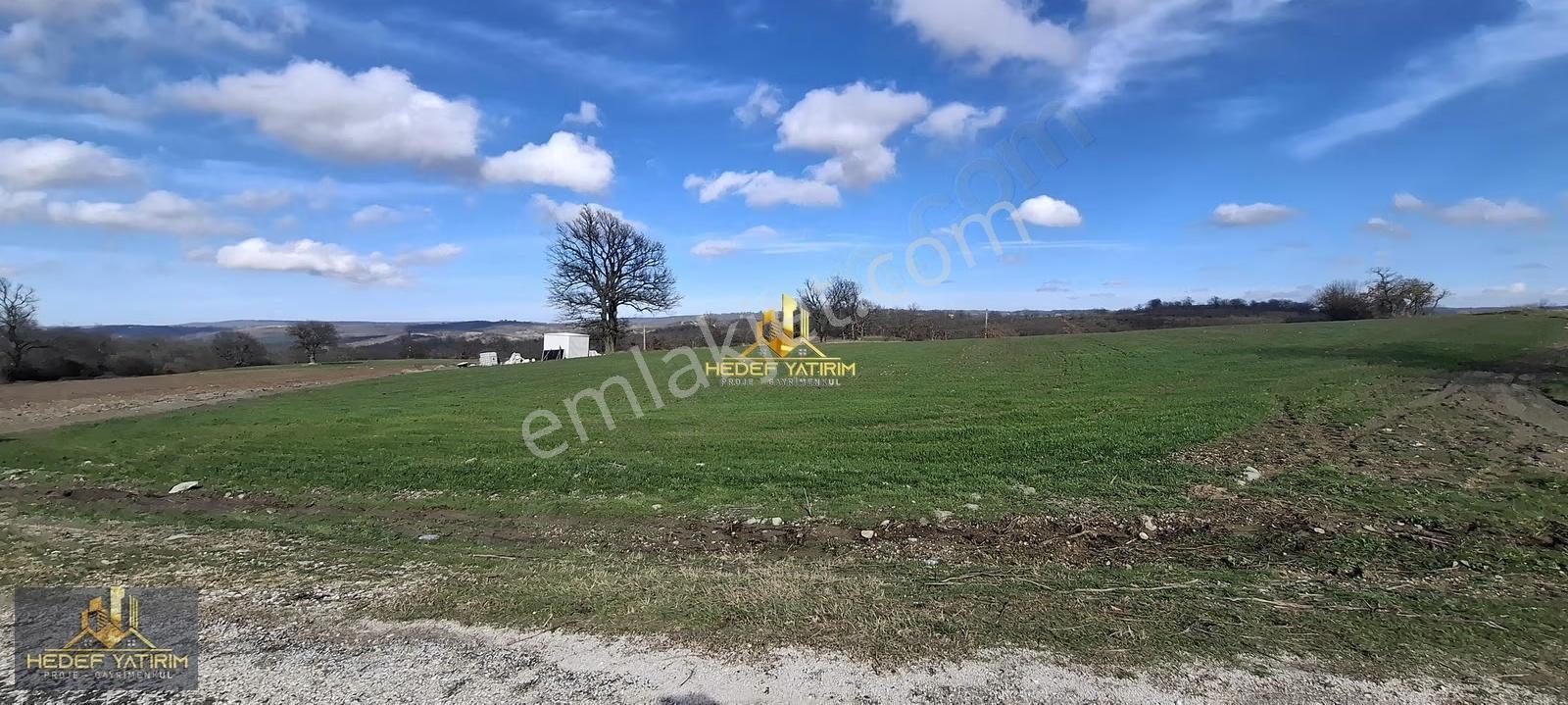 Asfalt Cepheli [4.170 M2] Tek Tapu Arazi Elektrik Var - Görsel 14