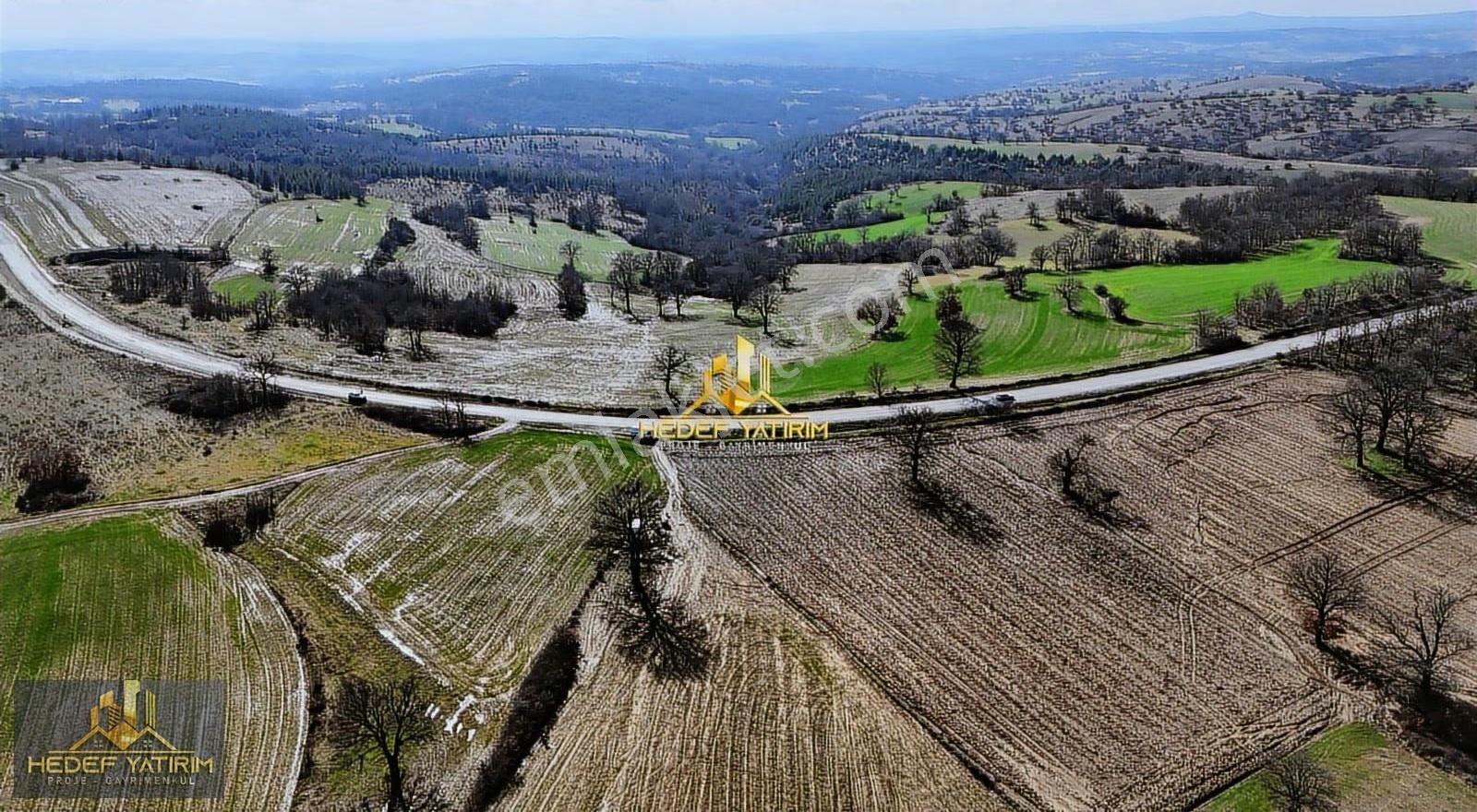 Asfalt Cepheli [4.170 M2] Tek Tapu Arazi Elektrik Var - Görsel 23