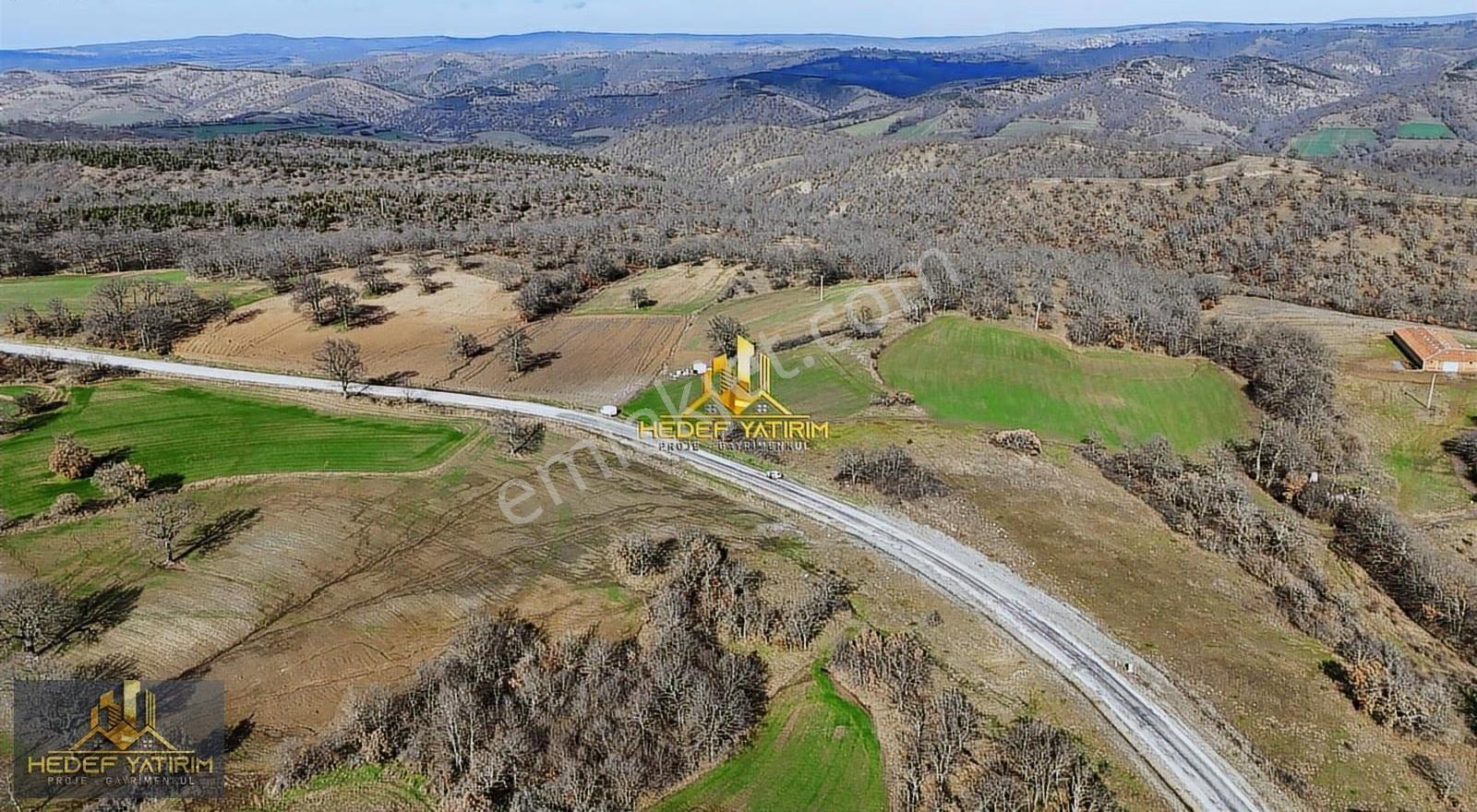 Asfalt Cepheli [4.170 M2] Tek Tapu Arazi Elektrik Var - Görsel 10