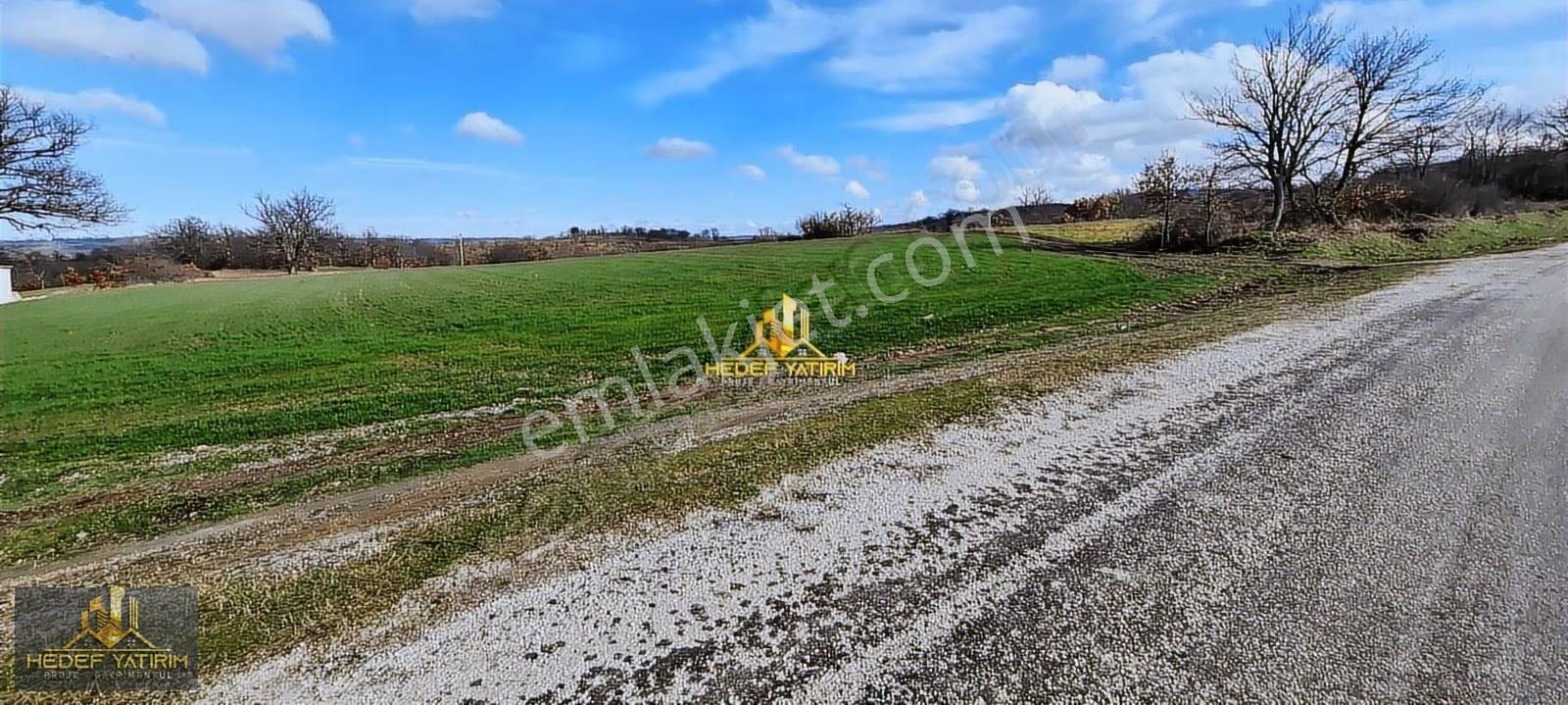 Asfalt Cepheli [4.170 M2] Tek Tapu Arazi Elektrik Var - Görsel 2