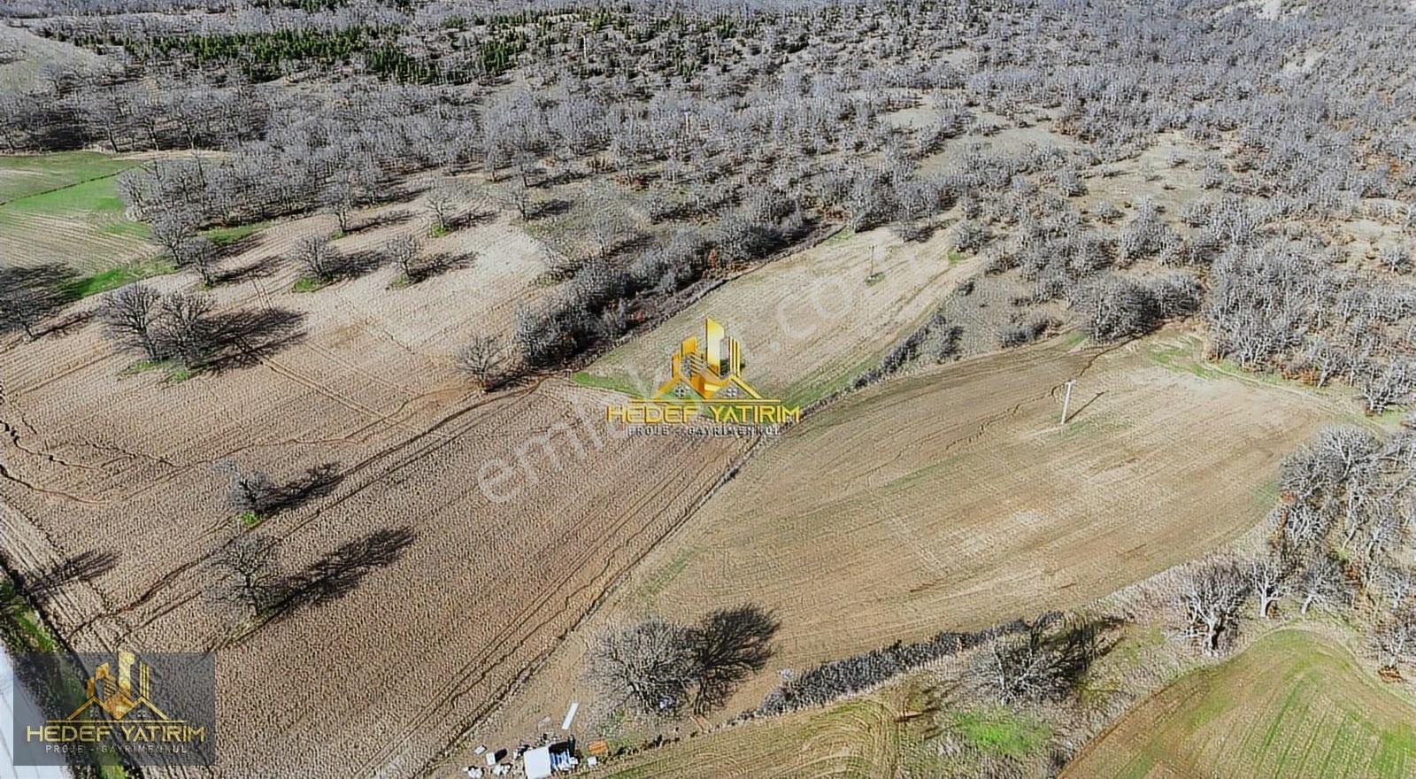 Asfalt Yola Yakın Elektrik İçinde Tek Tapu Arazi - Görsel 17