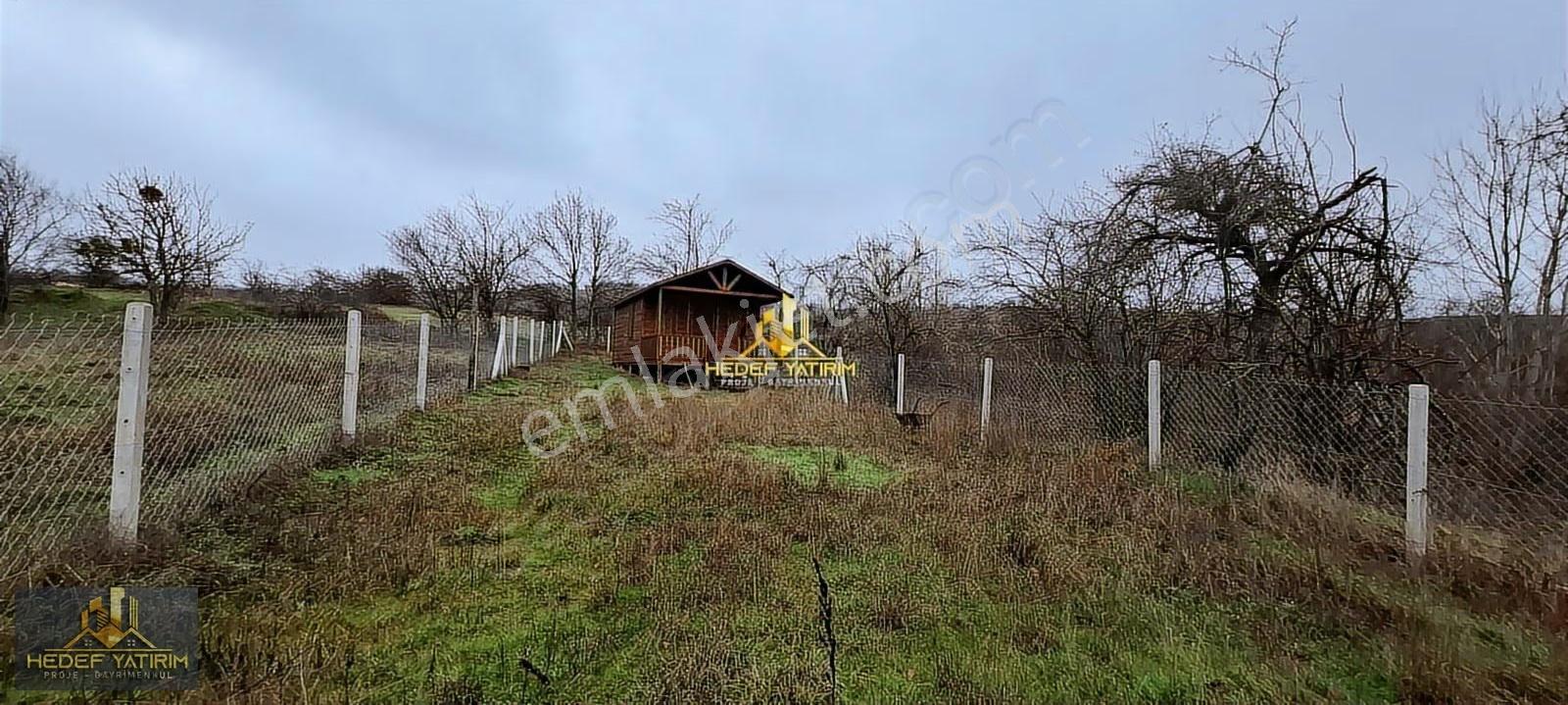 Armağanda Hazır Hobi Bahçesi Bakmadan Geçmeyin - Görsel 12