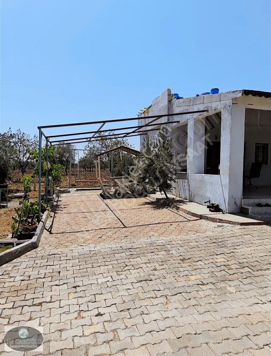Ncr'den Kilis Oylum Tarafında Satılık Bağ Evi - Görsel 15