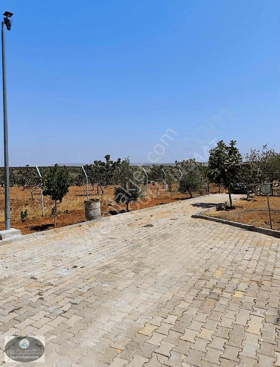 Ncr'den Kilis Oylum Tarafında Satılık Bağ Evi - Görsel 28