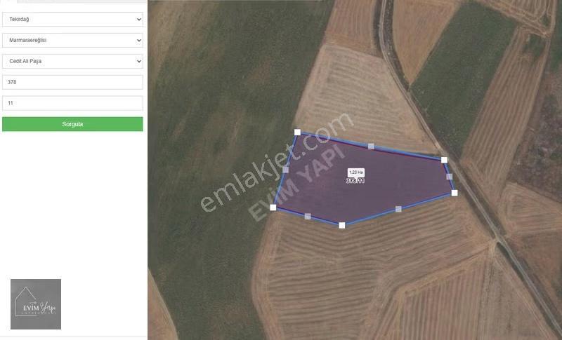 ¯\_evim Yapı _/¯ 11.625 M2 Tarla Araç Takasına Açık - Görsel 3
