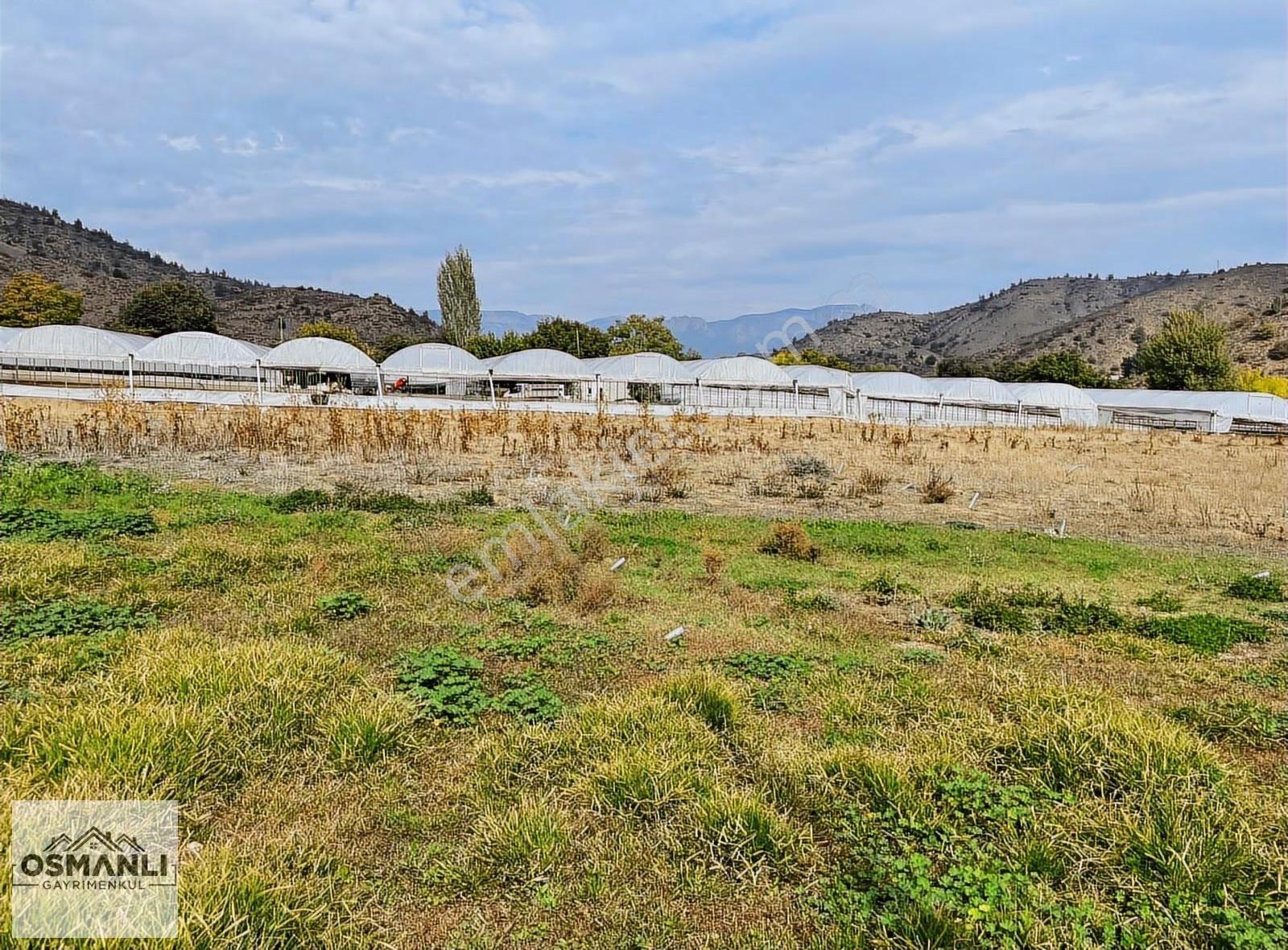Seraların Ortasında,köyün Dibinde,4.726 M2 Toprağı Verimli Arazi - Görsel 31