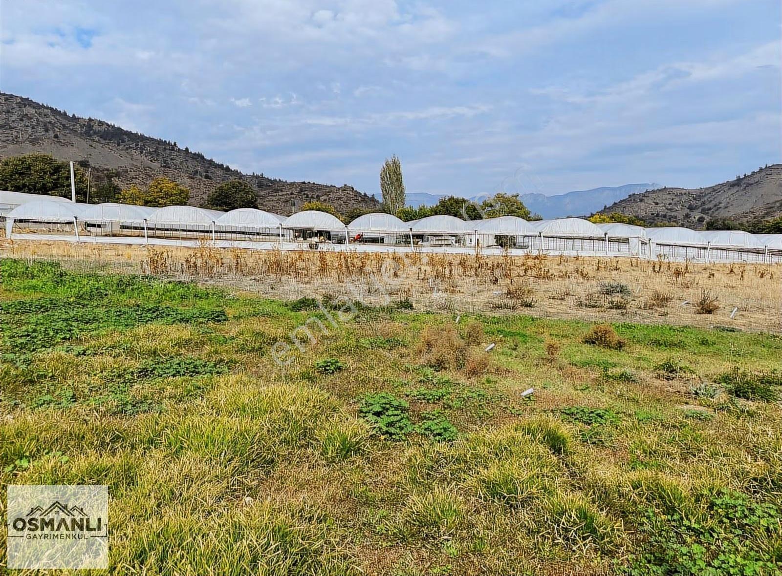 Seraların Ortasında,köyün Dibinde,4.726 M2 Toprağı Verimli Arazi - Görsel 29