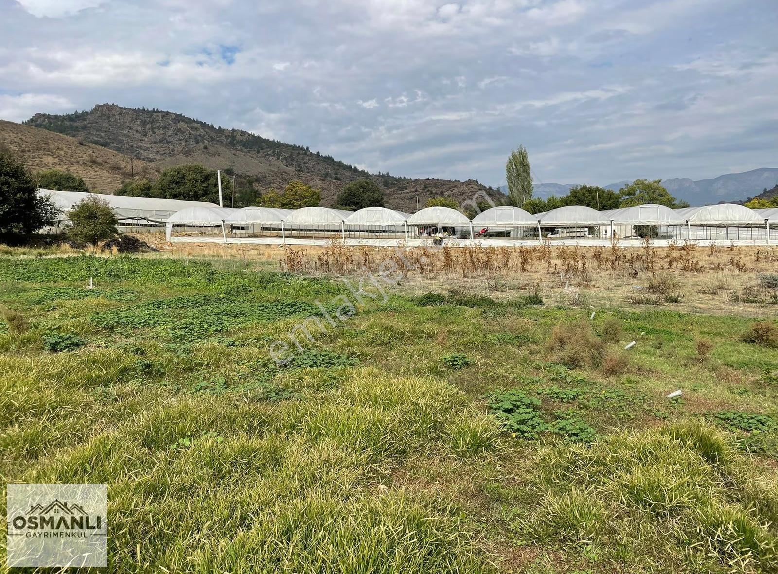 Seraların Ortasında,köyün Dibinde,4.726 M2 Toprağı Verimli Arazi - Görsel 33