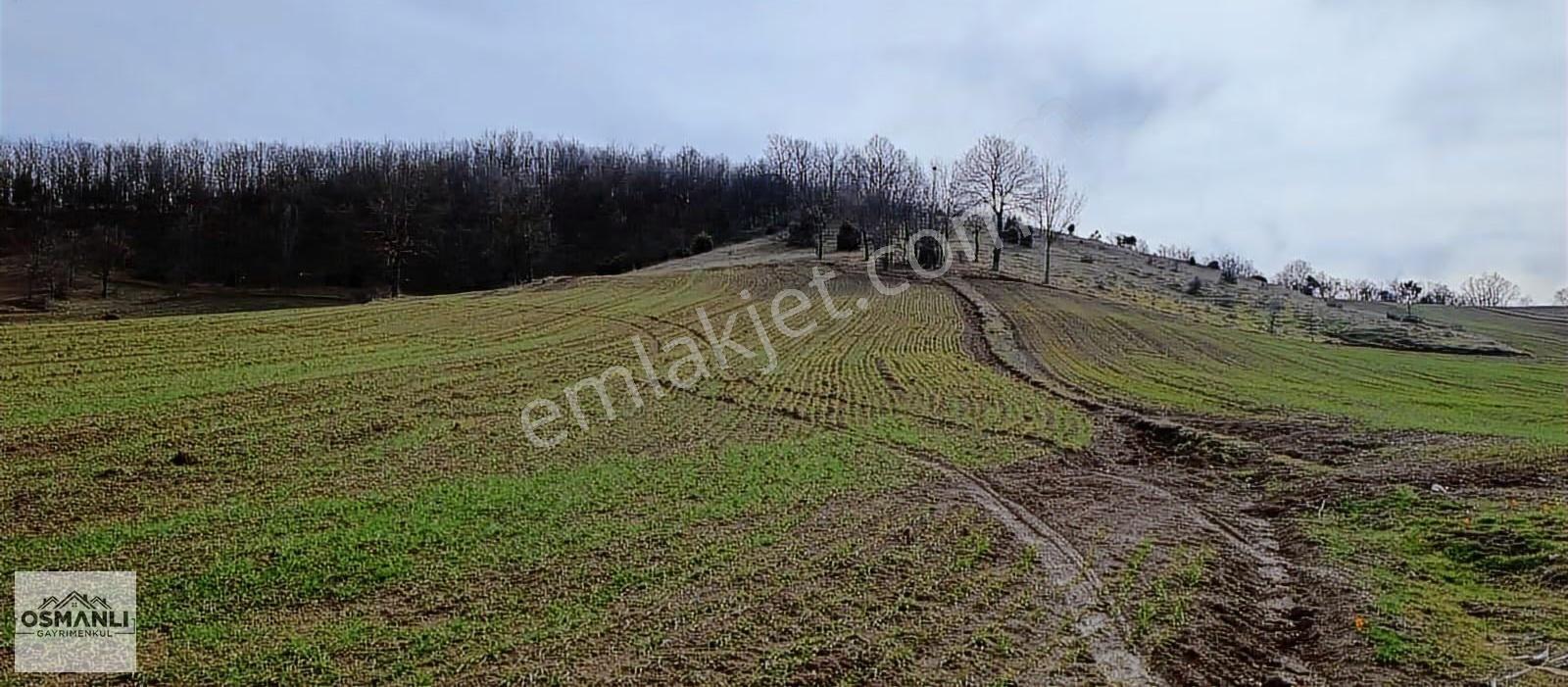 Elektriği Ve Yolu Önünde,arkası Orman, 16 Dönüm %5 İmarlı Arazi - Görsel 23