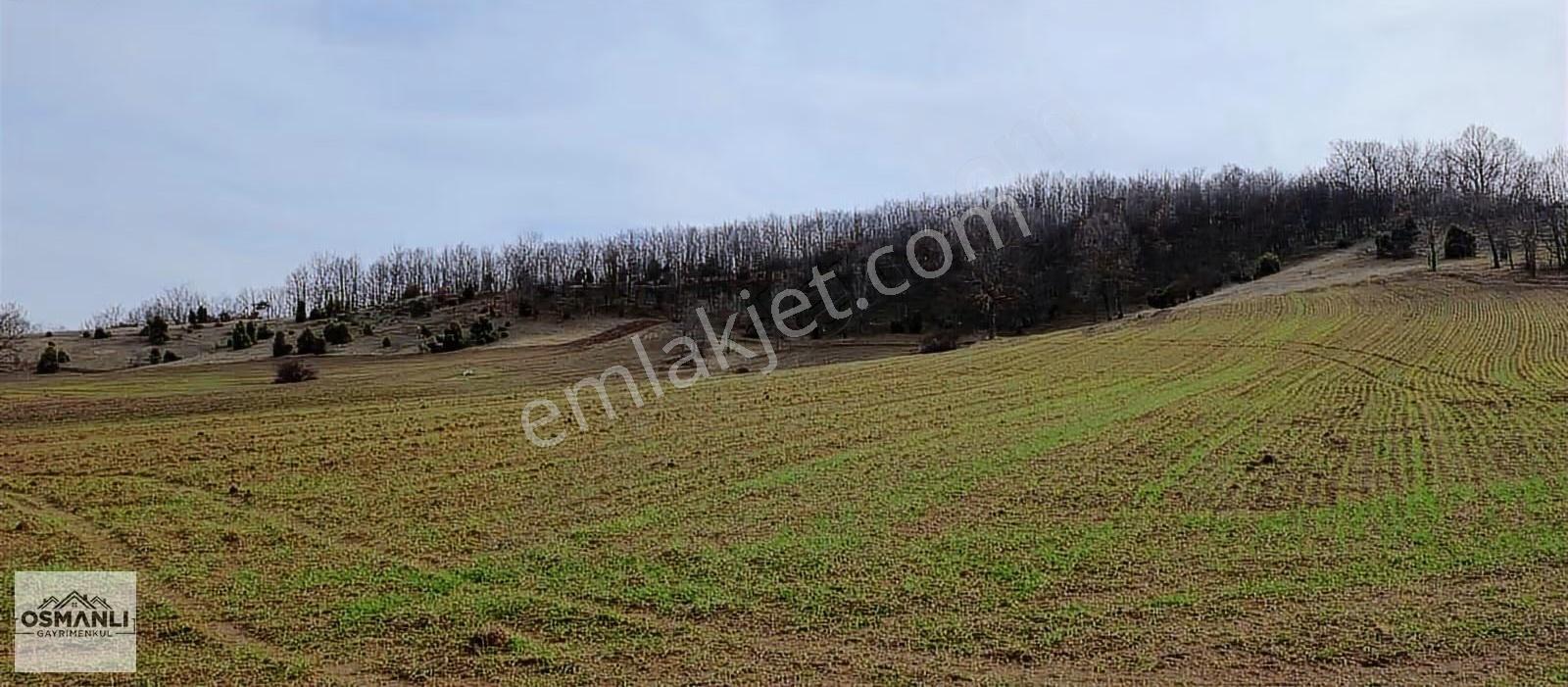 Elektriği Ve Yolu Önünde,arkası Orman, 16 Dönüm %5 İmarlı Arazi - Görsel 30