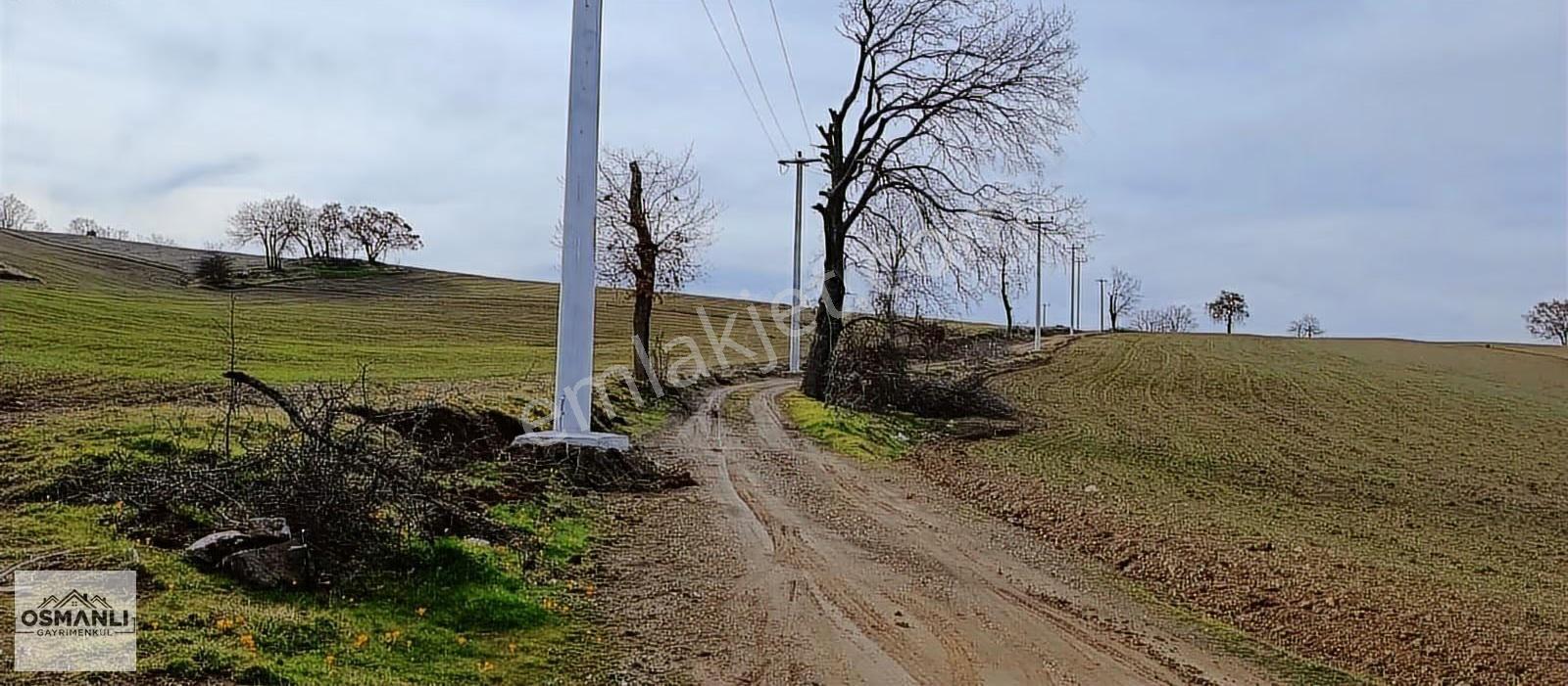 Elektriği Ve Yolu Önünde,arkası Orman, 16 Dönüm %5 İmarlı Arazi - Görsel 16