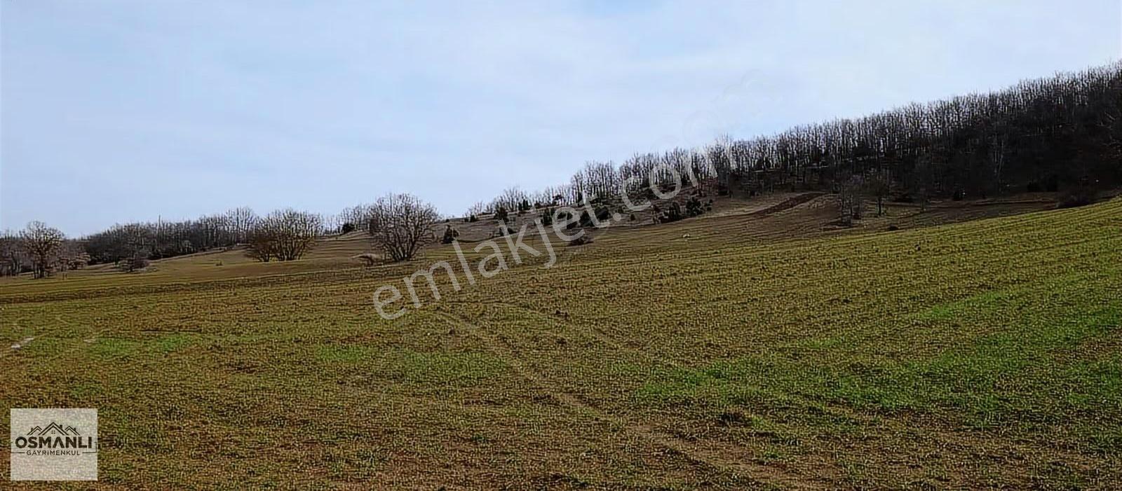 Elektriği Ve Yolu Önünde,arkası Orman, 16 Dönüm %5 İmarlı Arazi - Görsel 27