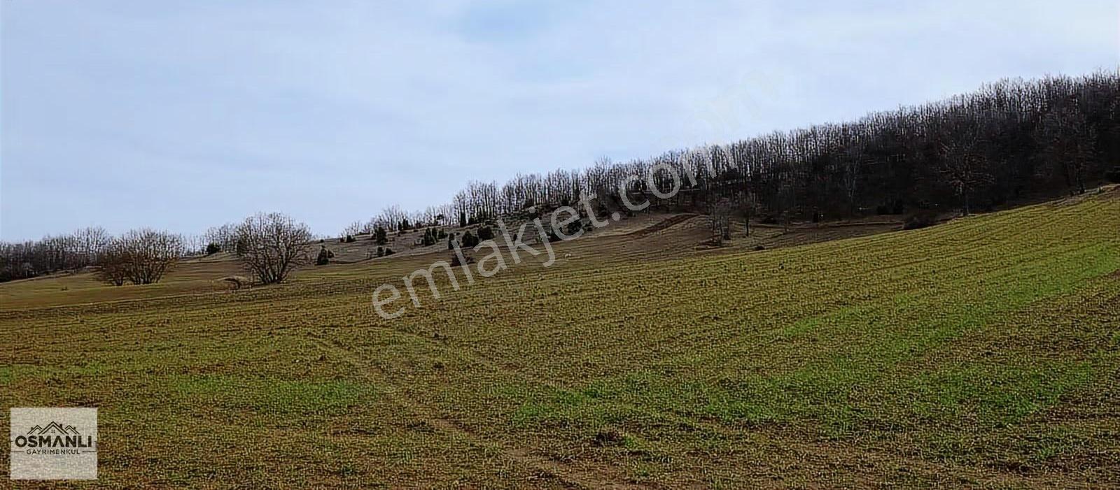 Elektriği Ve Yolu Önünde,arkası Orman, 16 Dönüm %5 İmarlı Arazi - Görsel 32