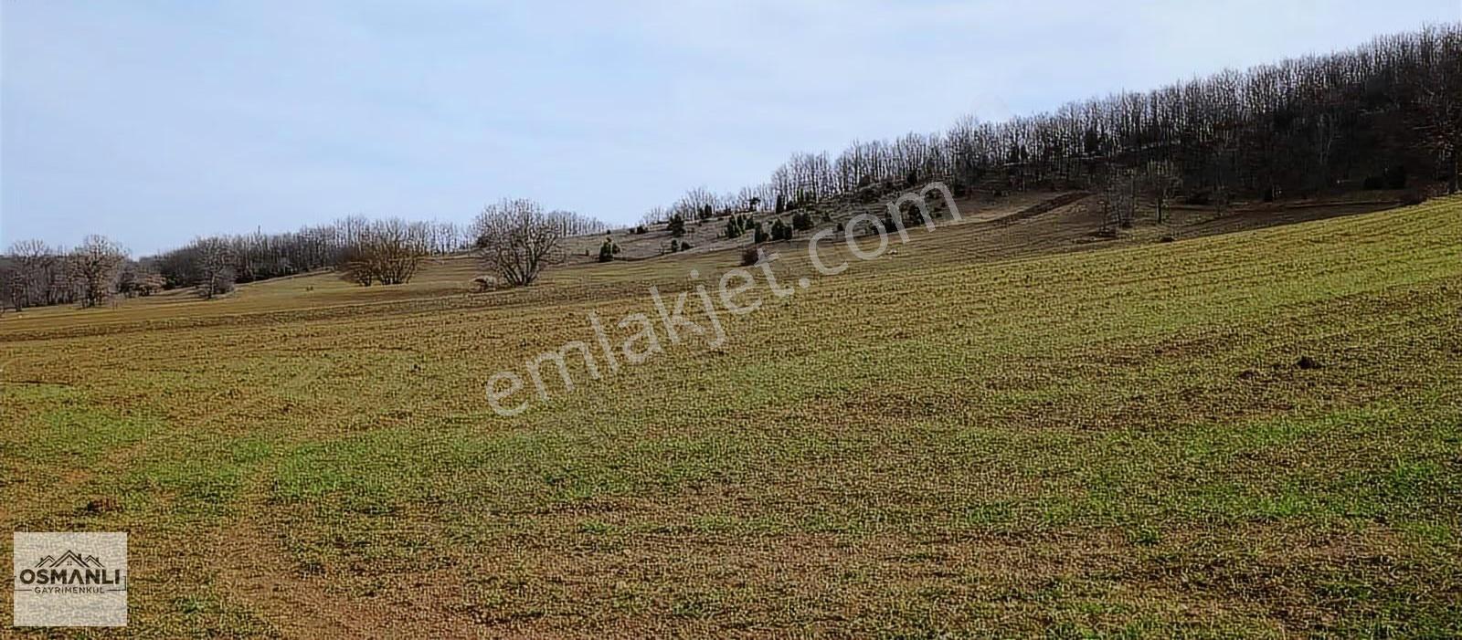 Elektriği Ve Yolu Önünde,arkası Orman, 16 Dönüm %5 İmarlı Arazi - Görsel 33