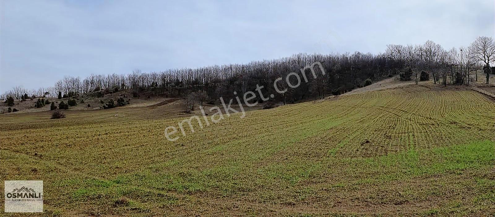 Elektriği Ve Yolu Önünde,arkası Orman, 16 Dönüm %5 İmarlı Arazi - Görsel 26