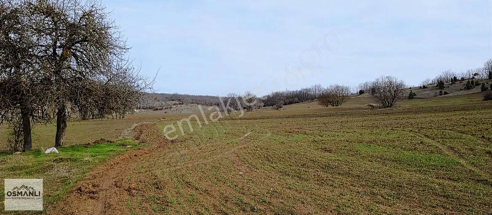 Elektriği Ve Yolu Önünde,arkası Orman, 16 Dönüm %5 İmarlı Arazi - Görsel 14
