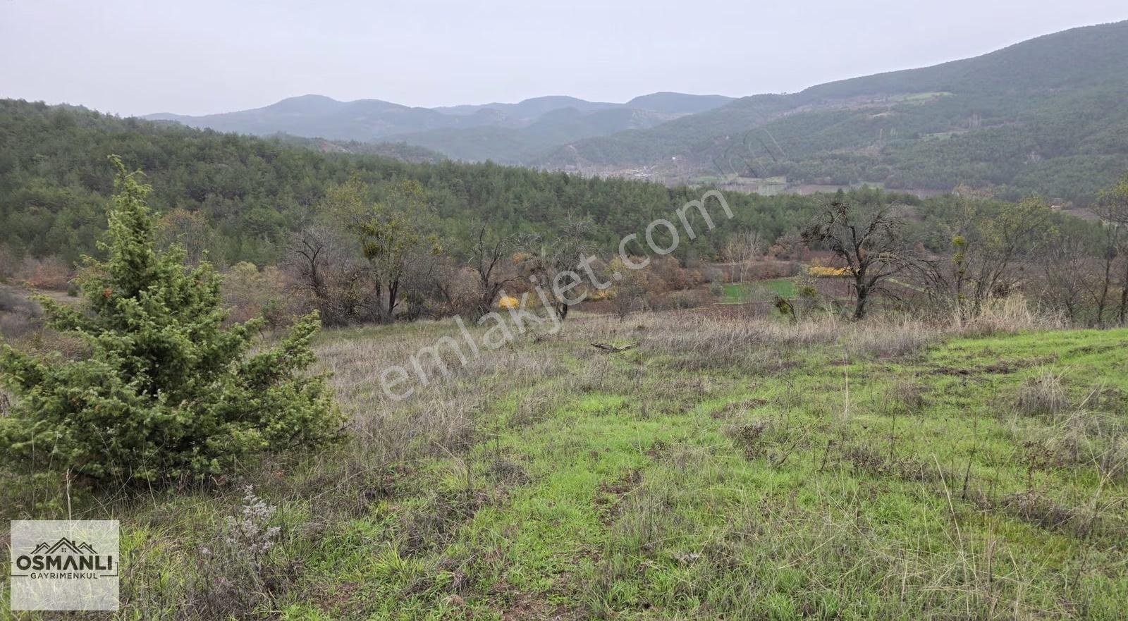 Resmi Yollu 800 M2 Manzaralı Hobi Bahçesi - Görsel 8