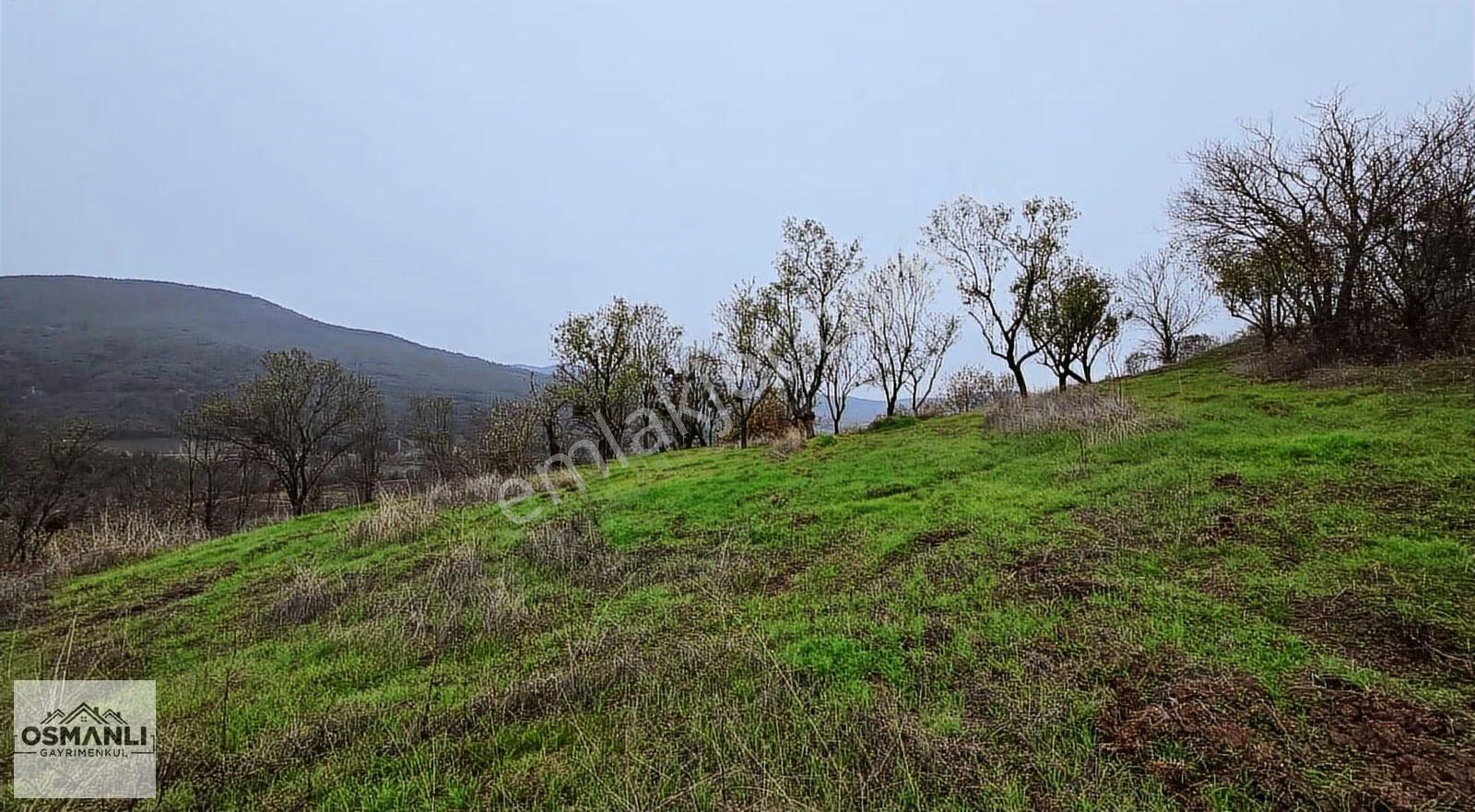 Resmi Yollu 800 M2 Manzaralı Hobi Bahçesi - Görsel 6