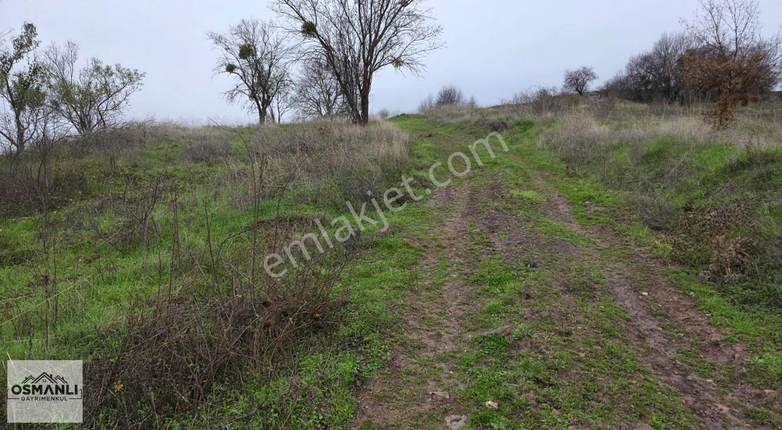 Resmi Yollu 800 M2 Manzaralı Hobi Bahçesi - Görsel 16