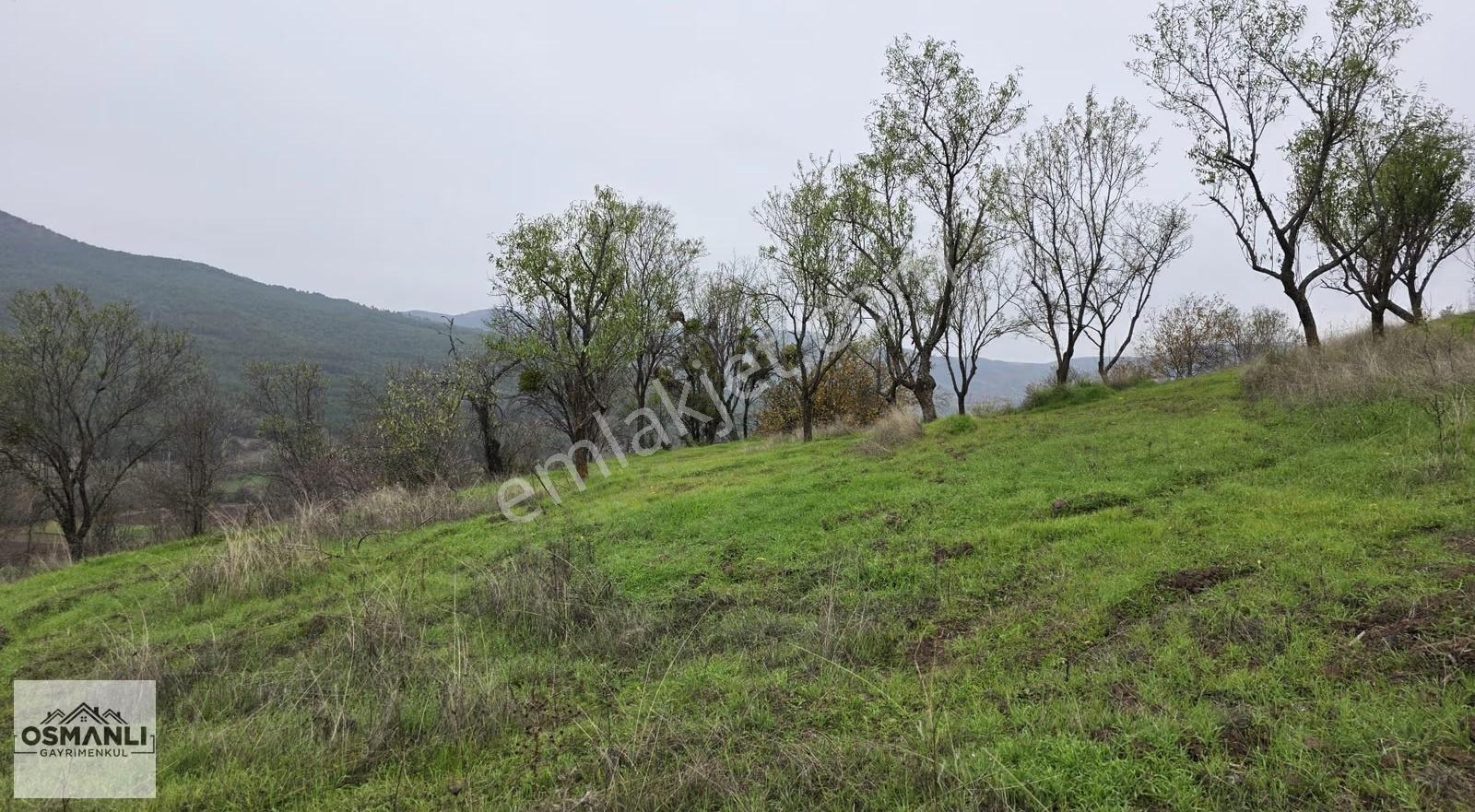 Resmi Yollu 800 M2 Manzaralı Hobi Bahçesi - Görsel 5