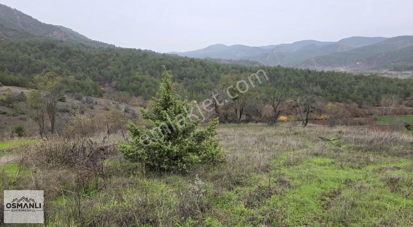 Resmi Yollu 800 M2 Manzaralı Hobi Bahçesi
