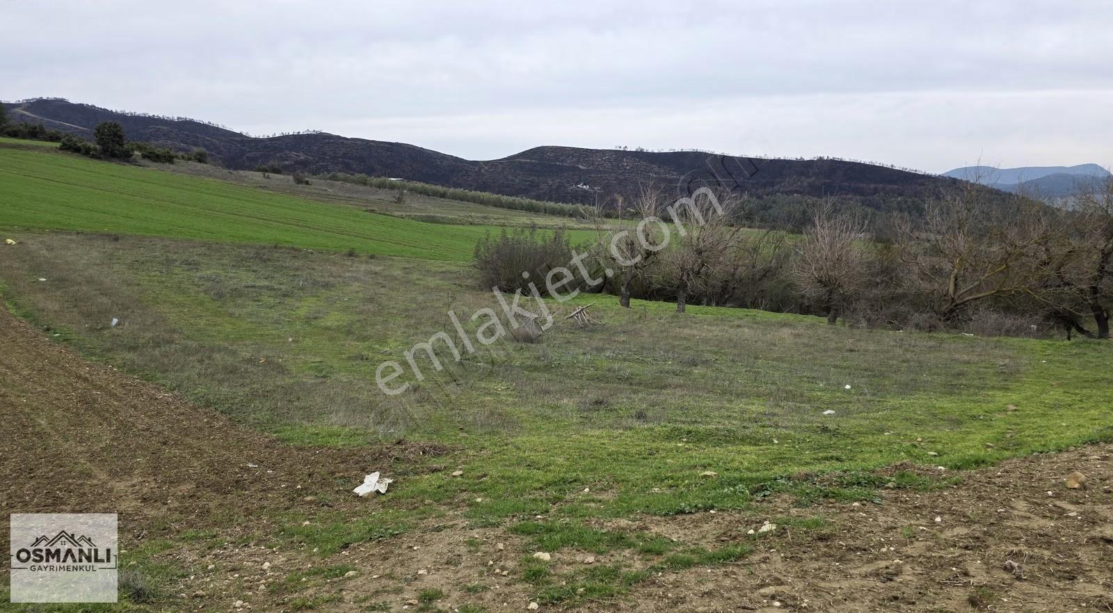 Büyükyence Köy İçi İmarlı 600 M2 Kaçırılmayacak Arsa - Görsel 9