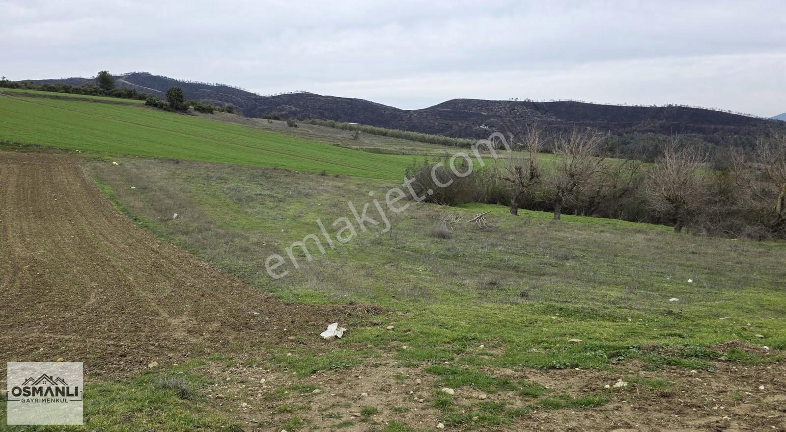Büyükyence Köy İçi İmarlı 600 M2 Kaçırılmayacak Arsa - Görsel 8