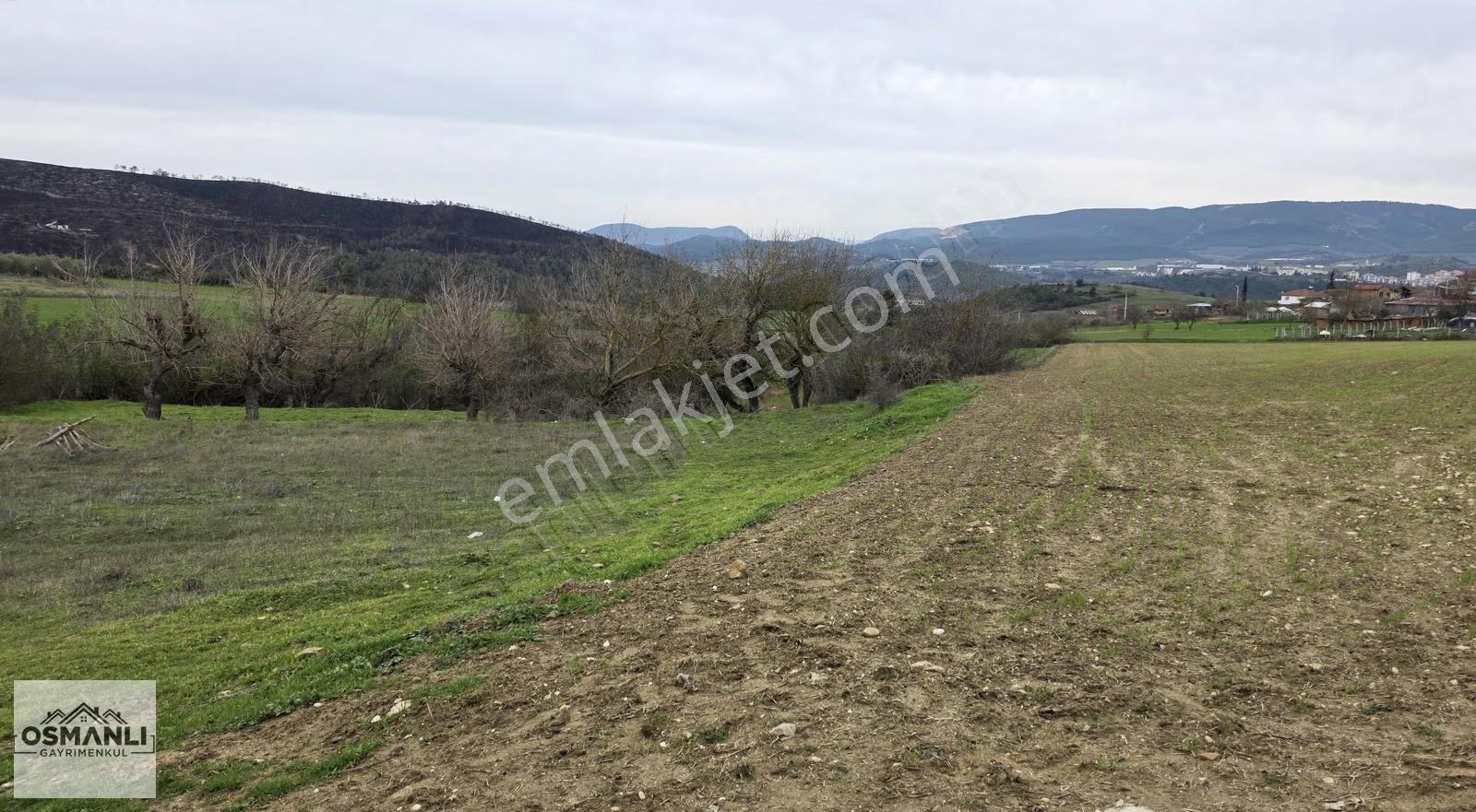 Büyükyence Köy İçi İmarlı 600 M2 Kaçırılmayacak Arsa - Görsel 7