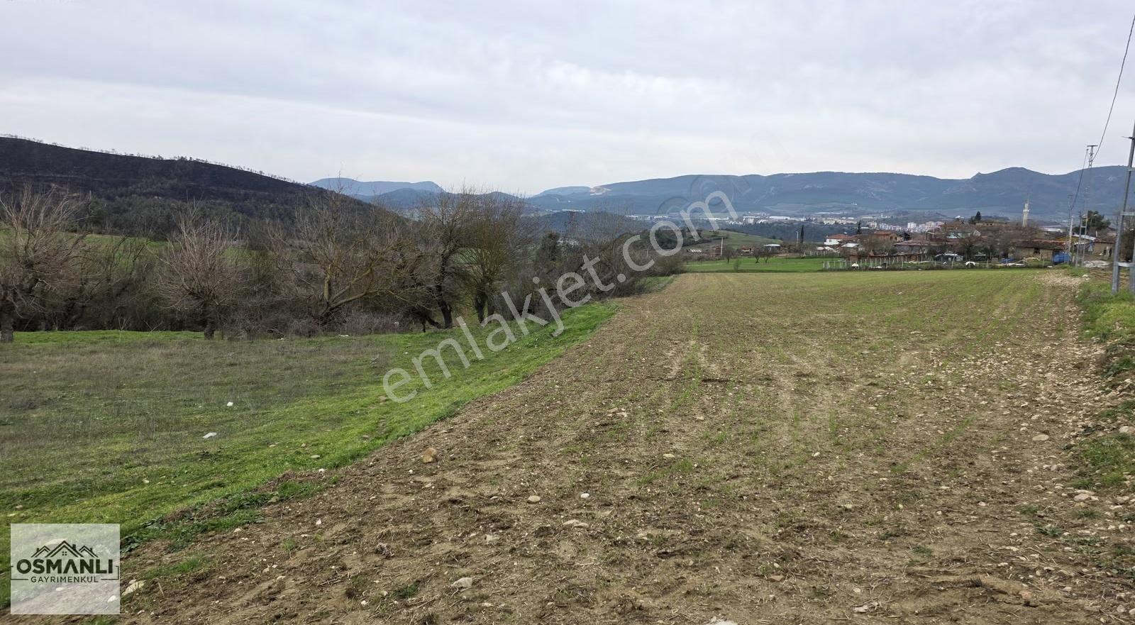 Büyükyence Köy İçi İmarlı 600 M2 Kaçırılmayacak Arsa - Görsel 5