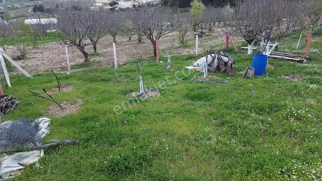 Bornova Yaka Mahallesinde Doğayla İç İçe Satılık Arazi - Görsel 8