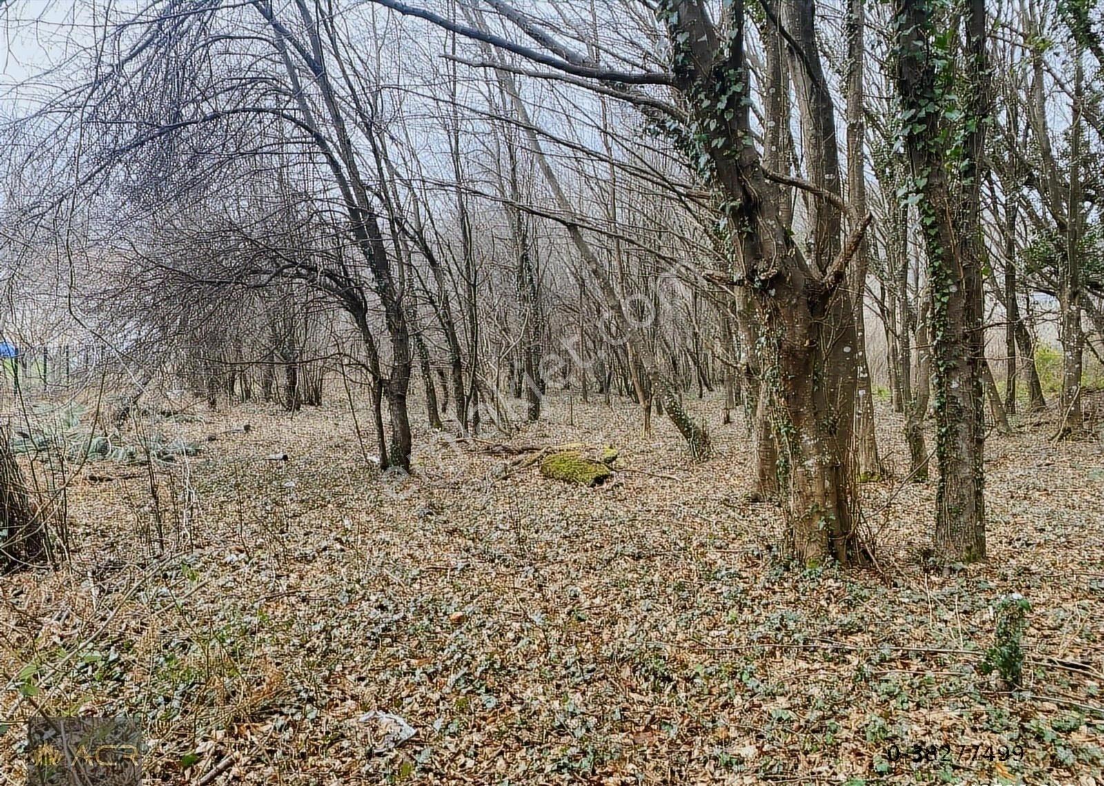 Kabakoz'da Ana Cadde Üzerinde 190m2 Resmi Yollu Arsa - Görsel 5