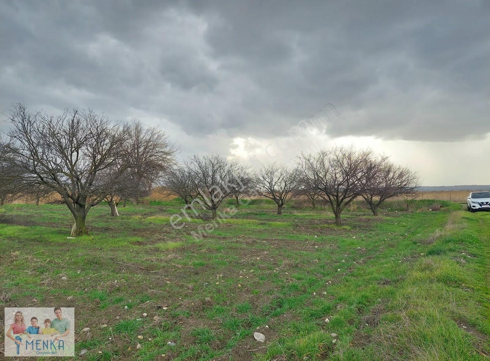Manisa Şehzadeler Karaoğlanlı Asfalt Yola Yakın Satılık Tarla - Görsel 5