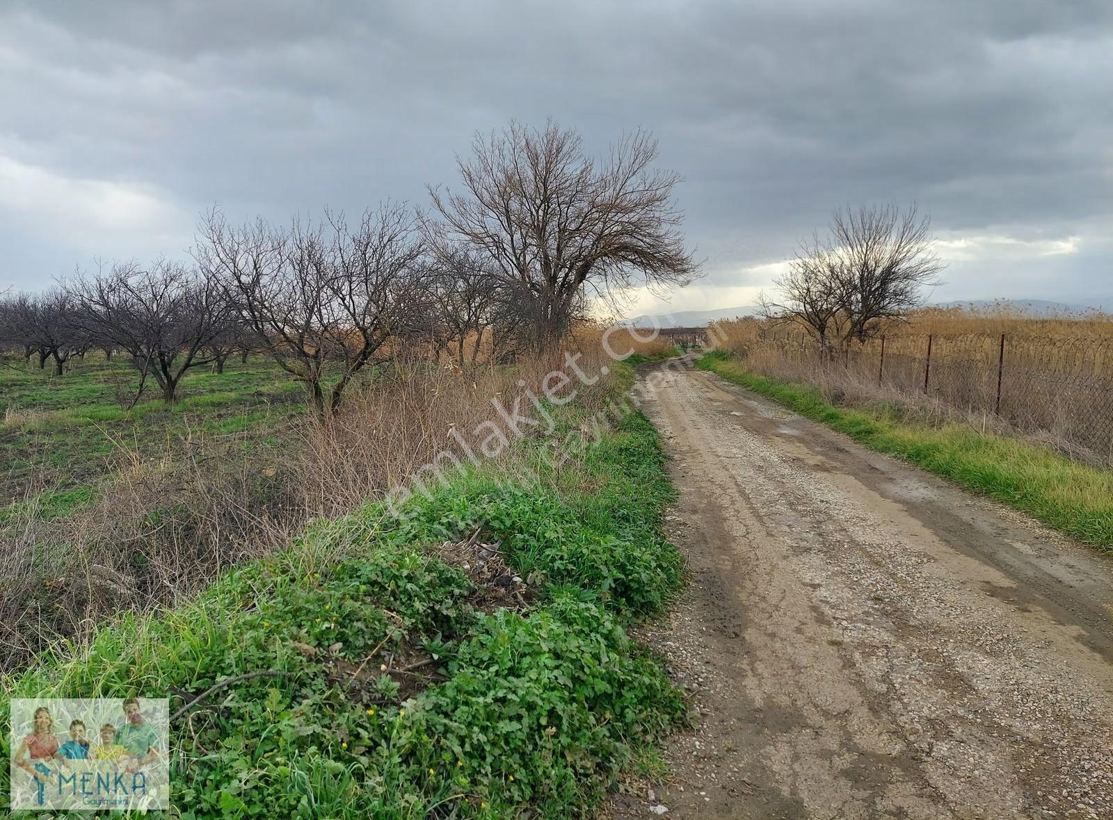 Manisa Şehzadeler Karaoğlanlı Asfalt Yola Yakın Satılık Tarla - Görsel 4