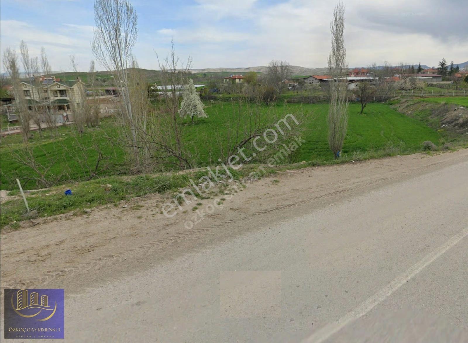 Özkoç'tan Güneyce'de 4200m² Kadastro Yoluna Cephe Tek Tapu Arazi - Görsel 26